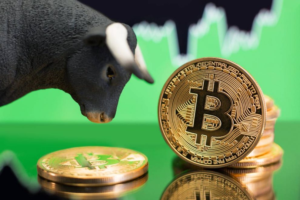 the next bitcoin bull run